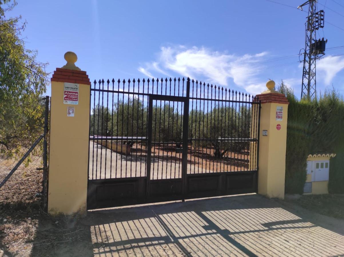 Los Abuelos Setenil De Las Bodegas المظهر الخارجي الصورة