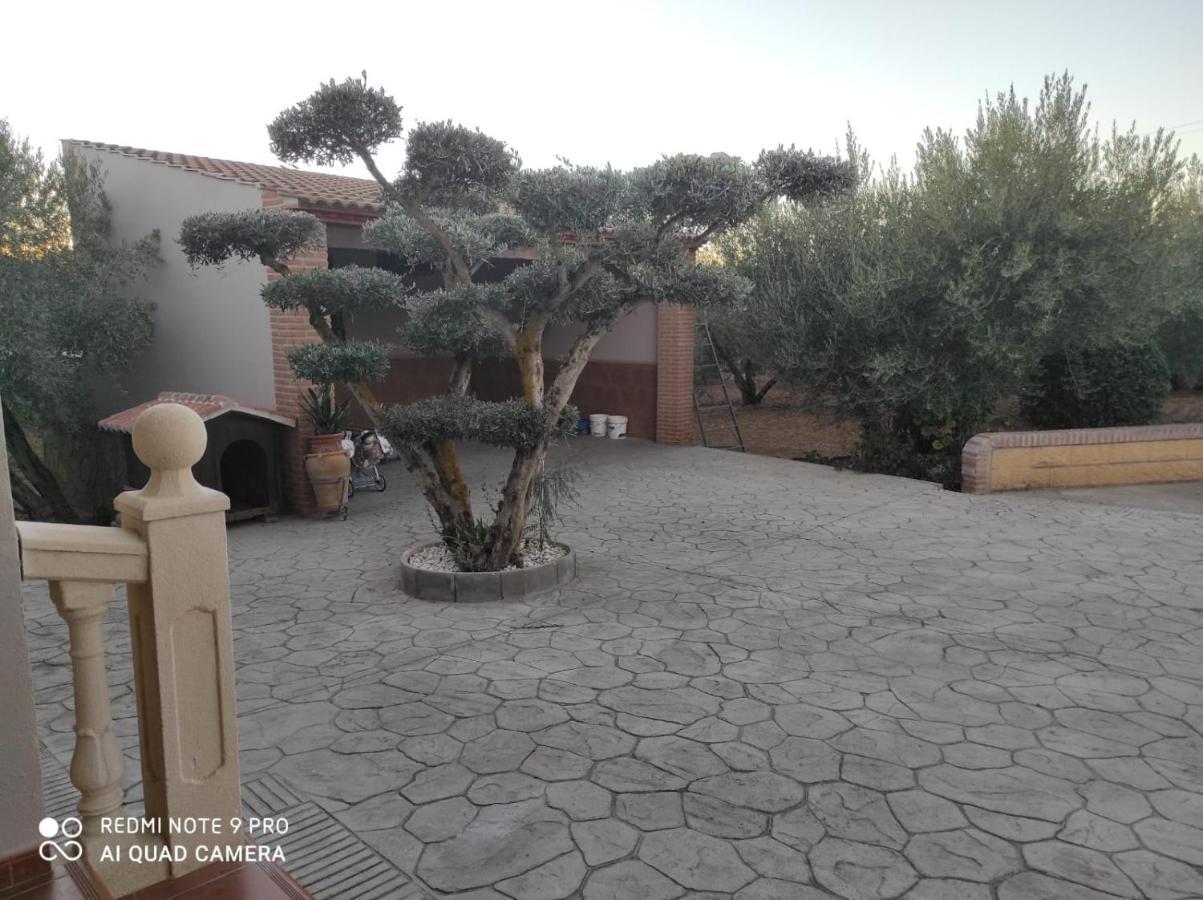 Los Abuelos Setenil De Las Bodegas المظهر الخارجي الصورة