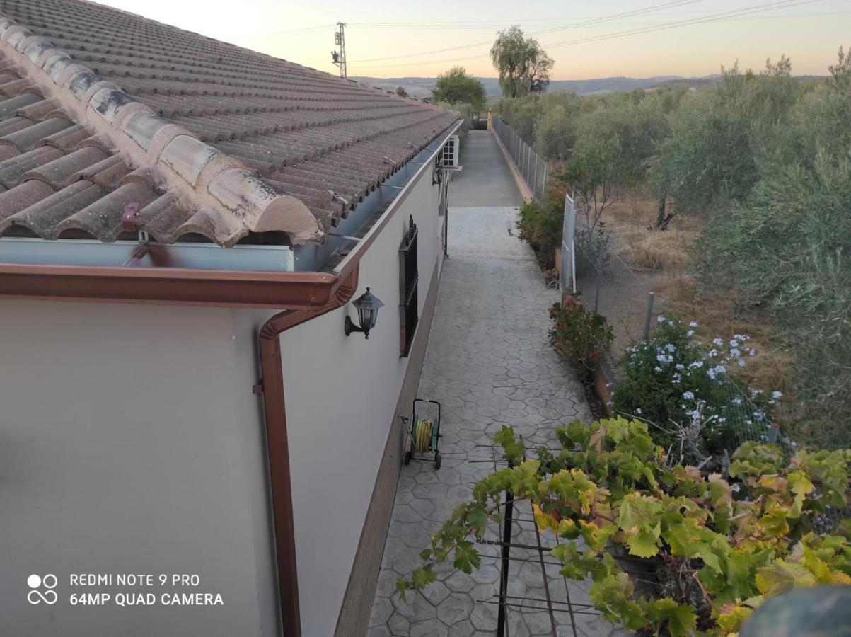 Los Abuelos Setenil De Las Bodegas المظهر الخارجي الصورة