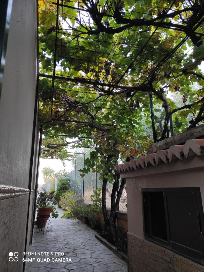 Los Abuelos Setenil De Las Bodegas المظهر الخارجي الصورة