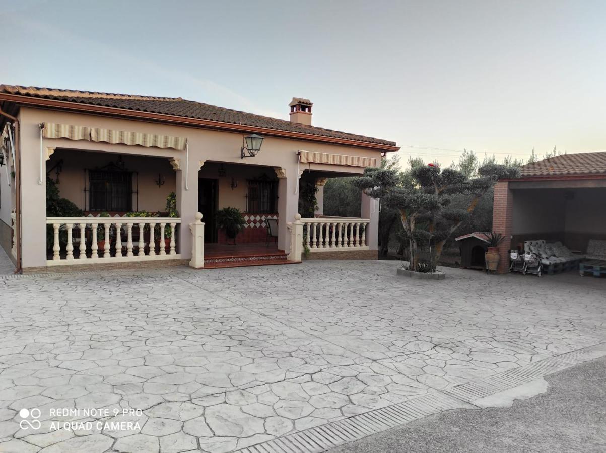 Los Abuelos Setenil De Las Bodegas المظهر الخارجي الصورة